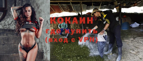 хмурый Алексин
