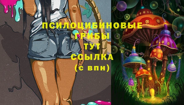 хмурый Алексин