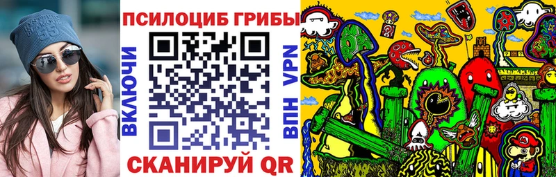 сайты даркнета телеграм  Аксай  Псилоцибиновые грибы Cubensis  мега как войти 